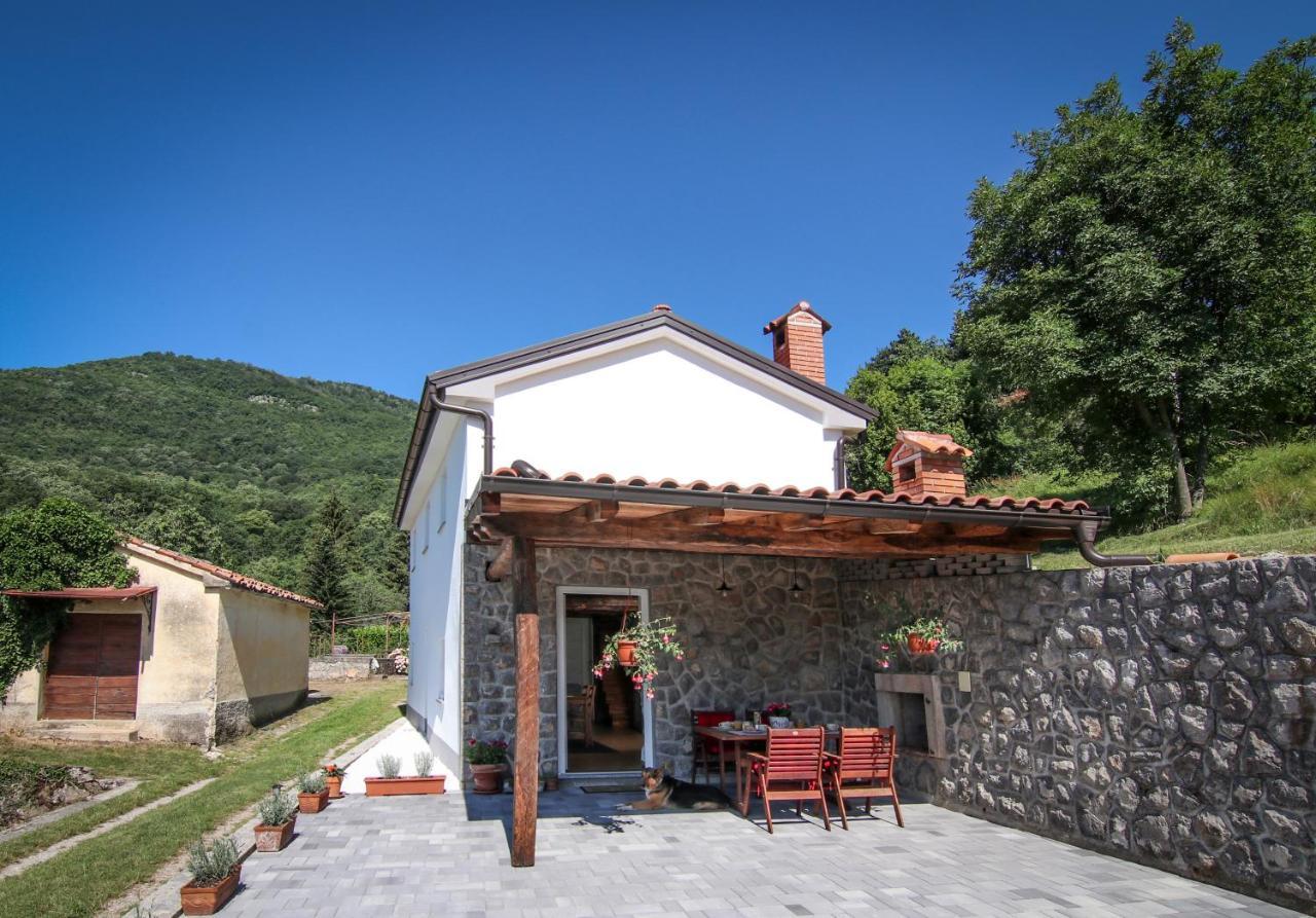Guest House 'Villa Fani' Veprinac With Jacuzzi Exterior foto