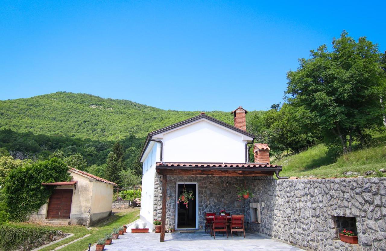 Guest House 'Villa Fani' Veprinac With Jacuzzi Exterior foto