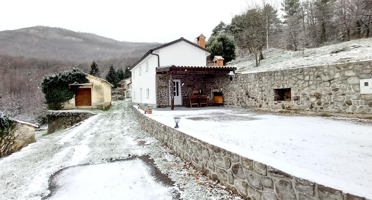 Guest House 'Villa Fani' Veprinac With Jacuzzi Exterior foto